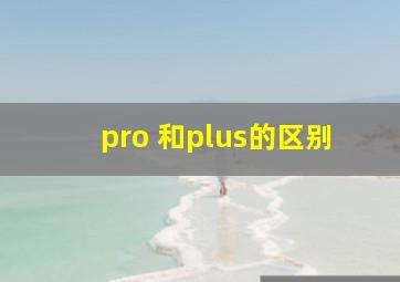 pro 和plus的区别